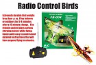 Remote Control Flying Bird Remote Control Flying Bird
